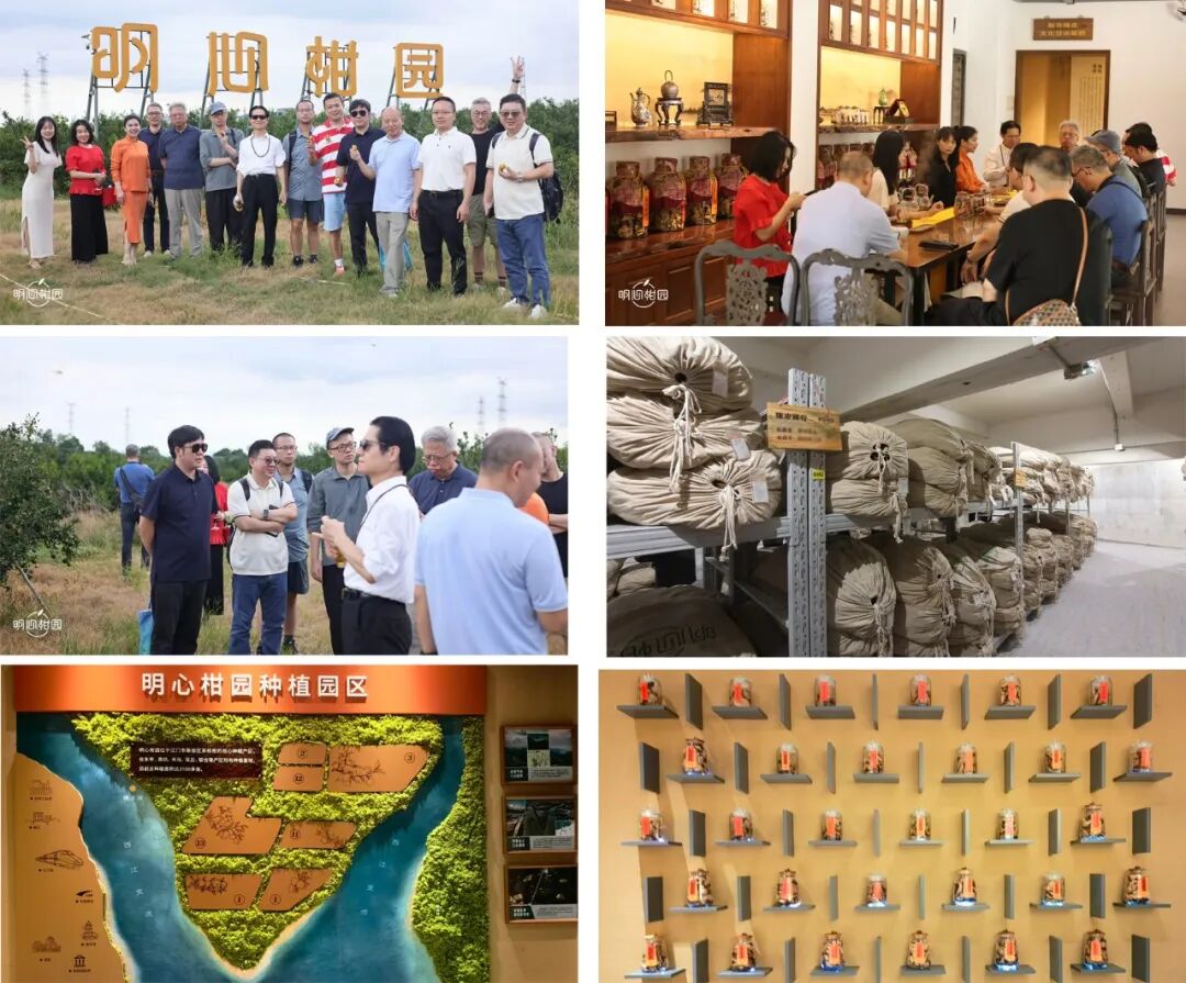 广东 · 平台与模式图片 5
